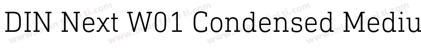 DIN Next W01 Condensed Medium字体转换